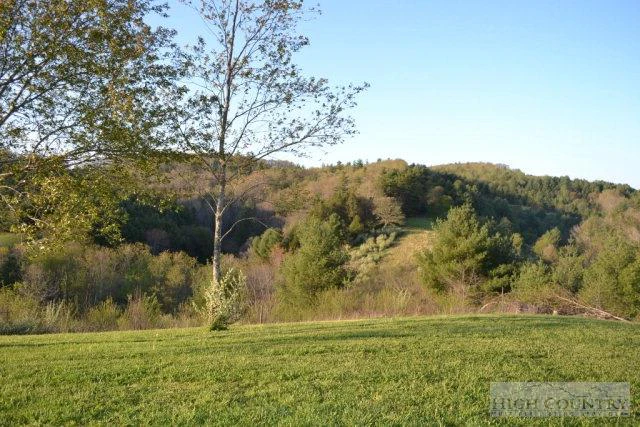 Image number 16 for the current listing