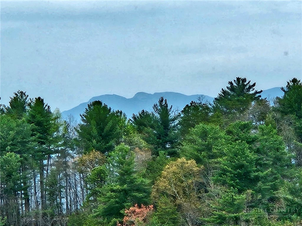Image number 10 for the current listing