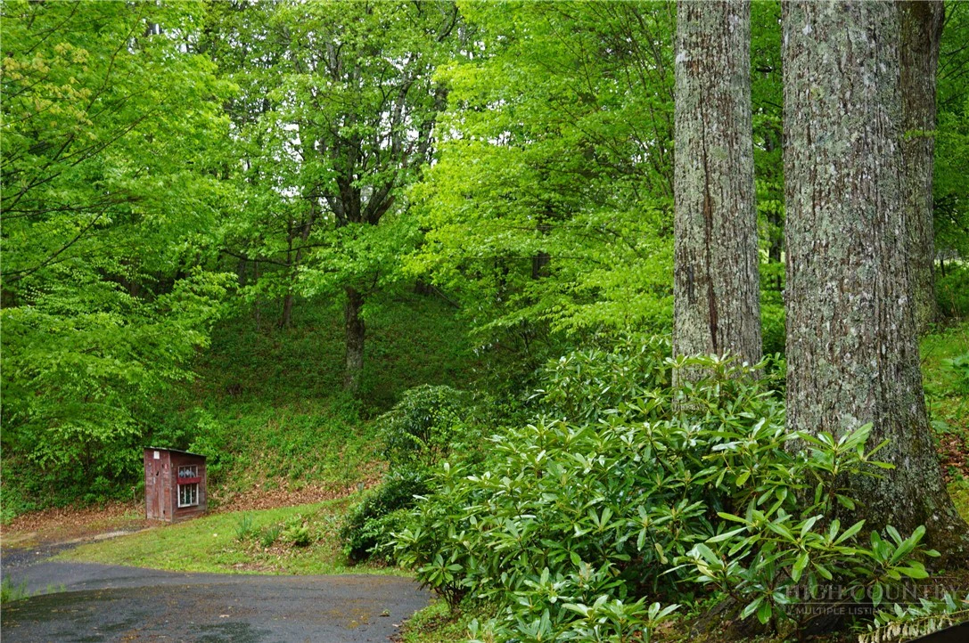 Image number 19 for the current listing