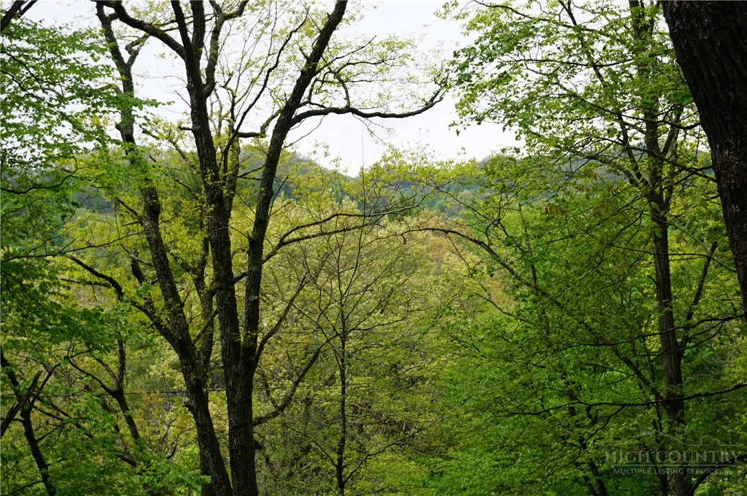Image number 5 for the current listing