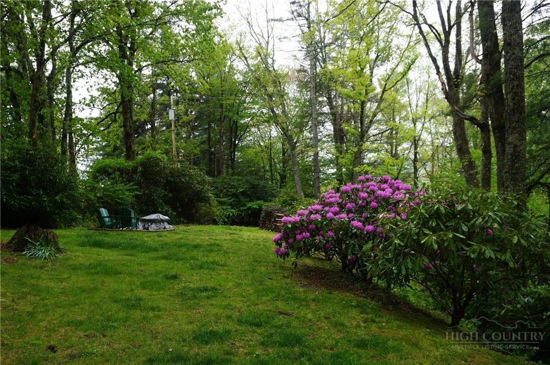 Image number 16 for the current listing