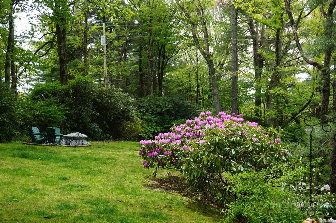Image number 4 for the current listing