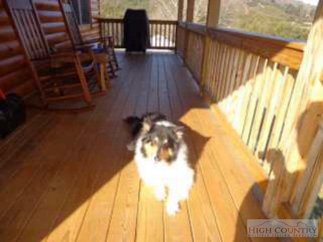 Image number 12 for the current listing