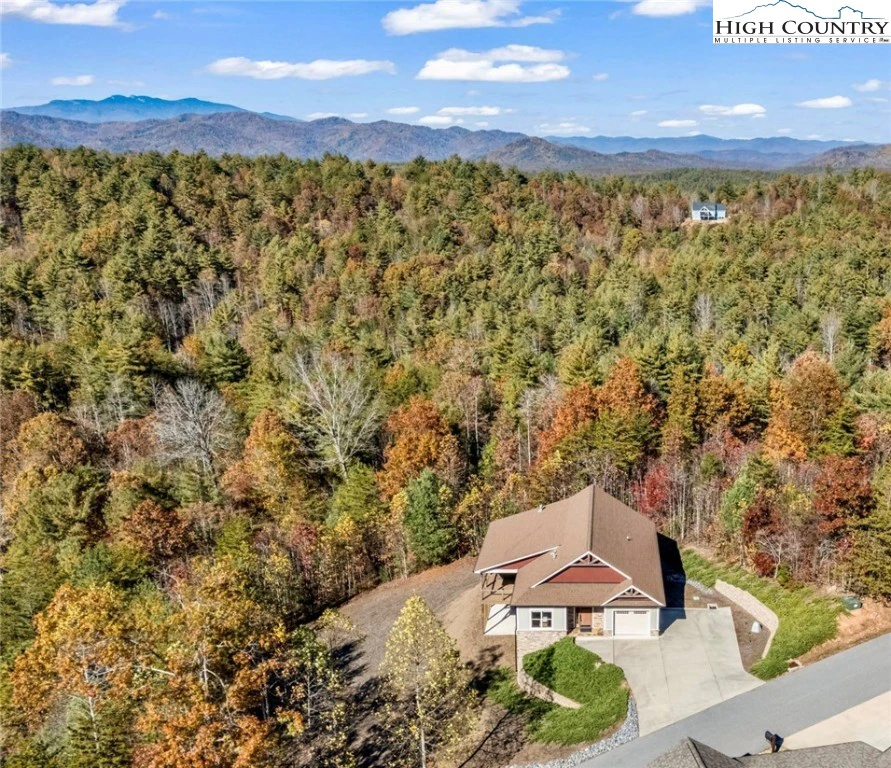 Image number 1 for the current listing
