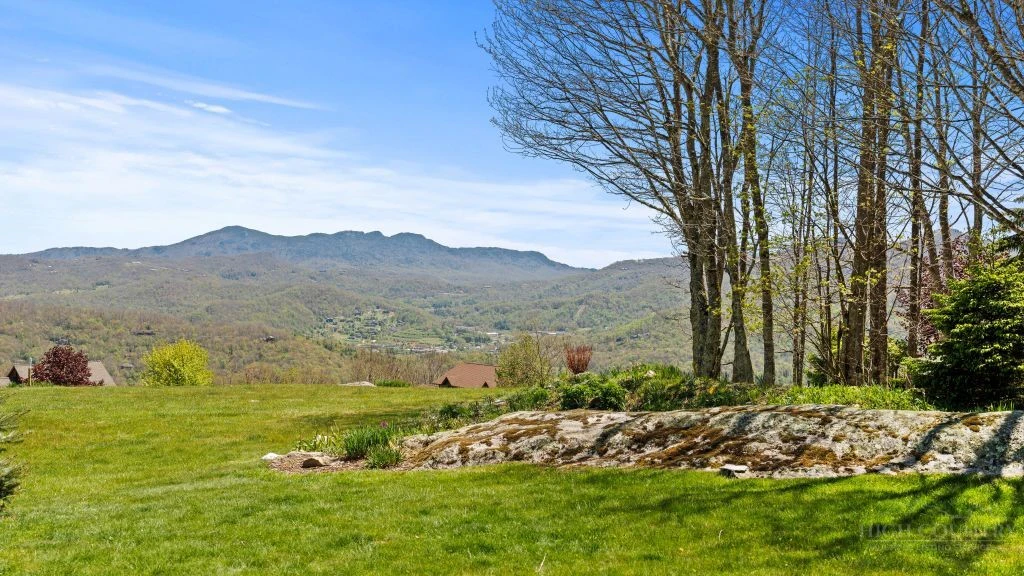 Image number 6 for the current listing