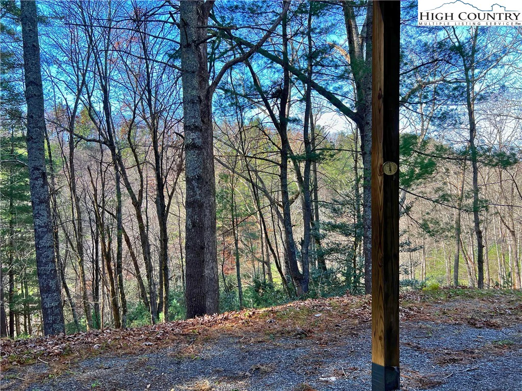 Image number 15 for the current listing