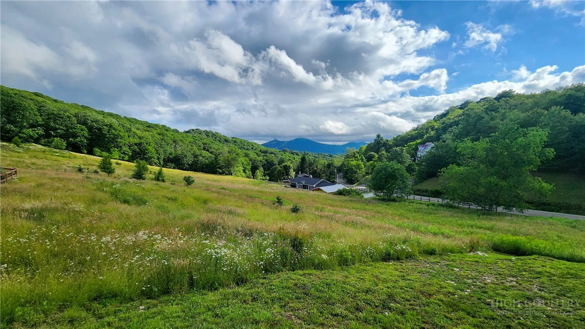 Image number 6 for the current listing