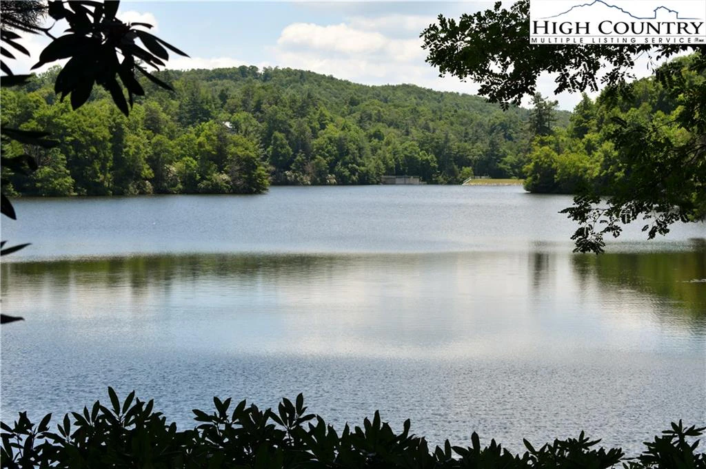 Image number 1 for the current listing