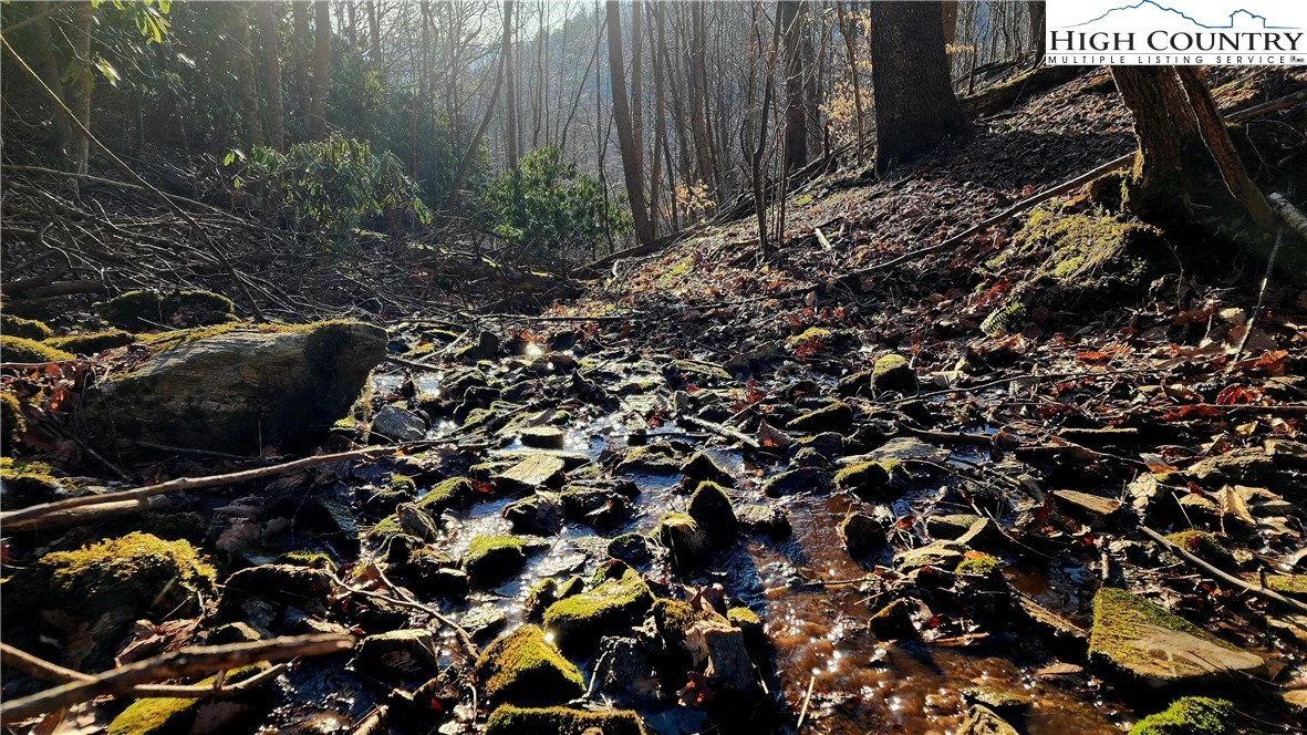 Image number 9 for the current listing
