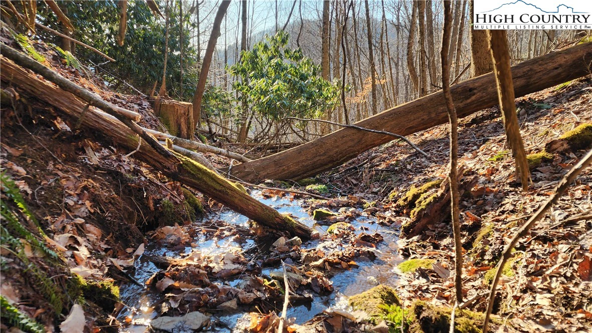 Image number 8 for the current listing