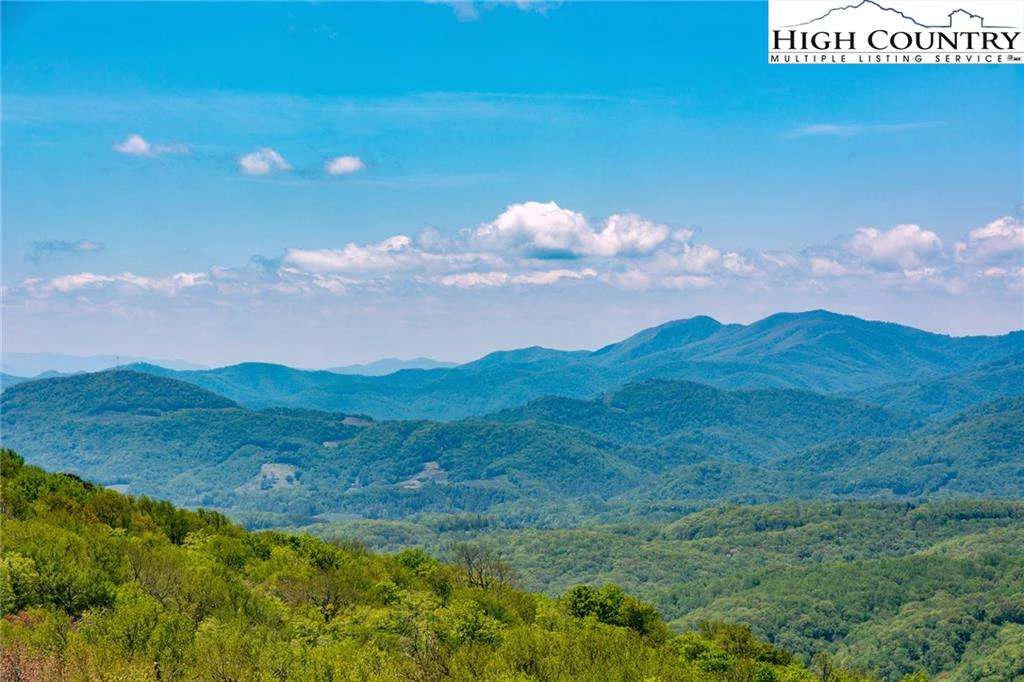 Image number 1 for the current listing