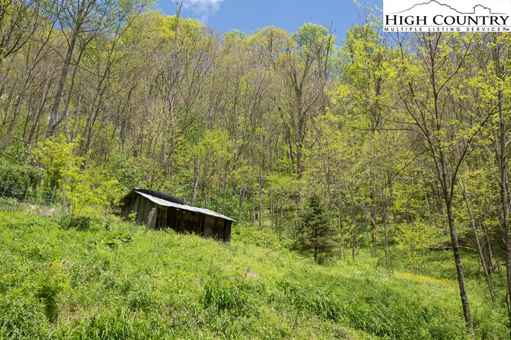 Image number 4 for the current listing
