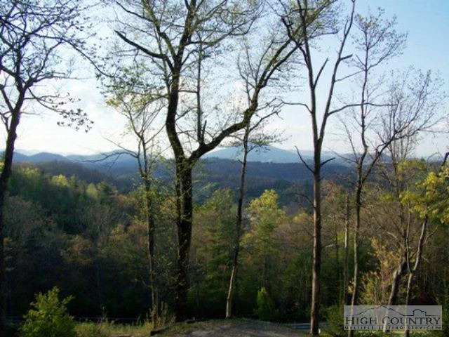 Image number 11 for the current listing