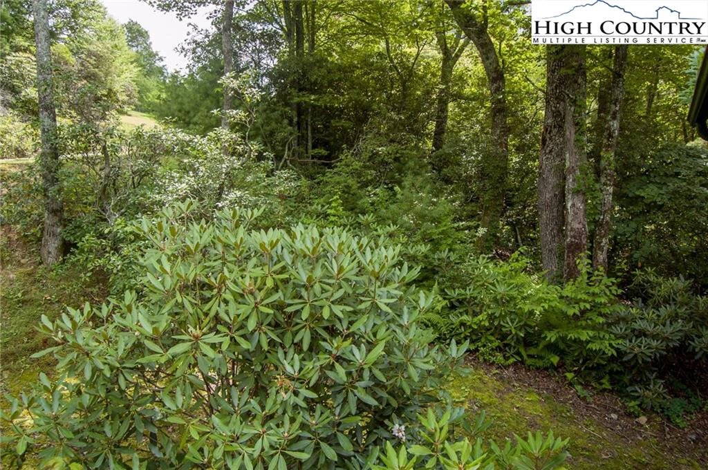 Image number 5 for the current listing