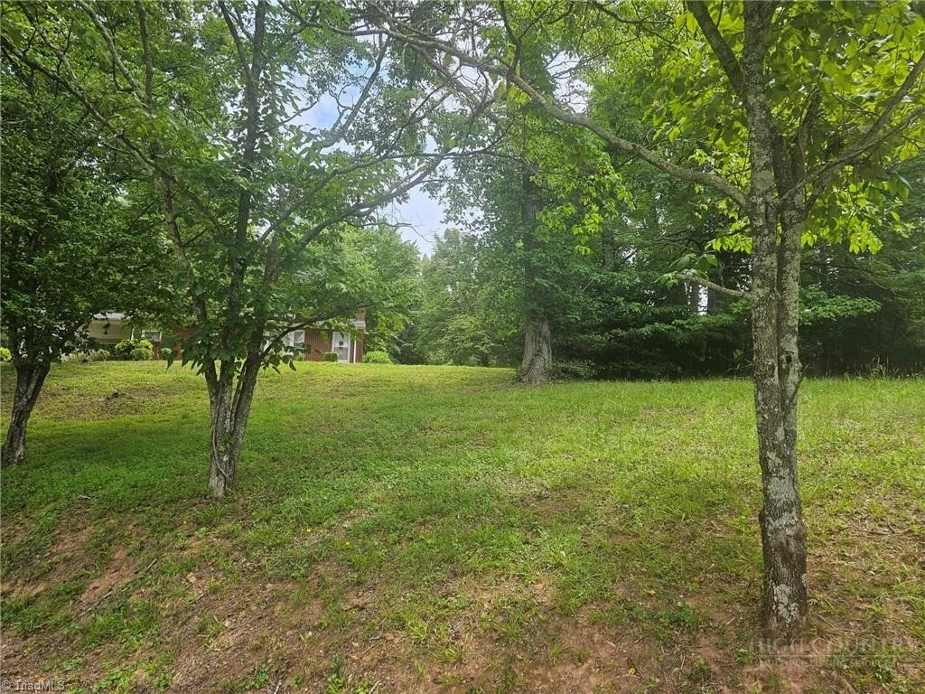 Image number 13 for the current listing