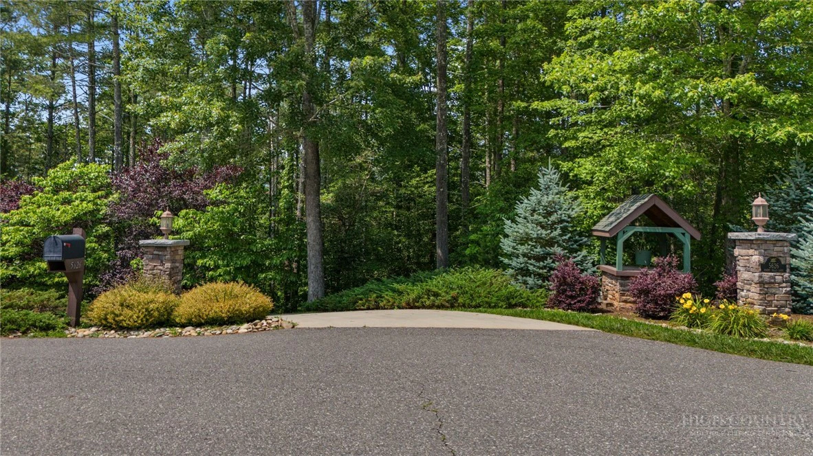 Image number 5 for the current listing
