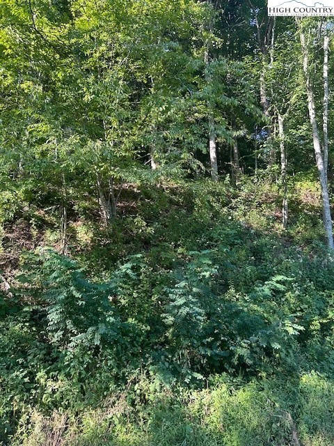 Image number 6 for the current listing