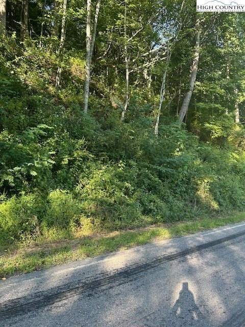 Image number 5 for the current listing