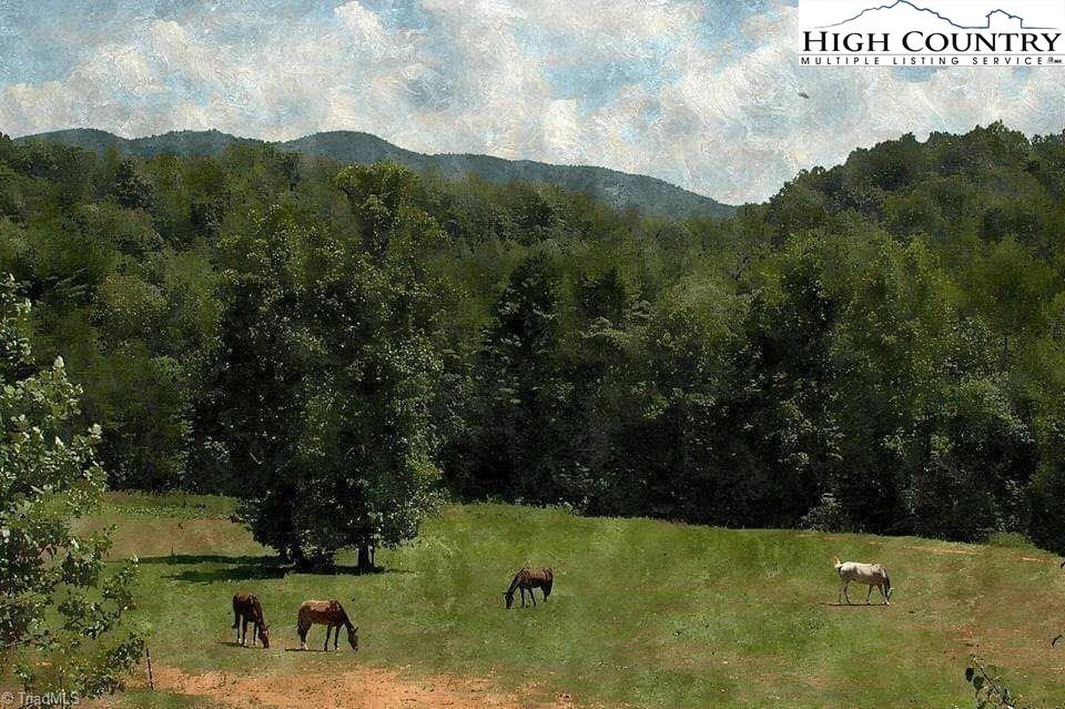 Image number 8 for the current listing