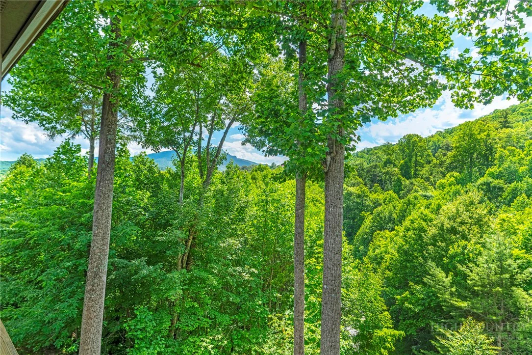 Image number 13 for the current listing