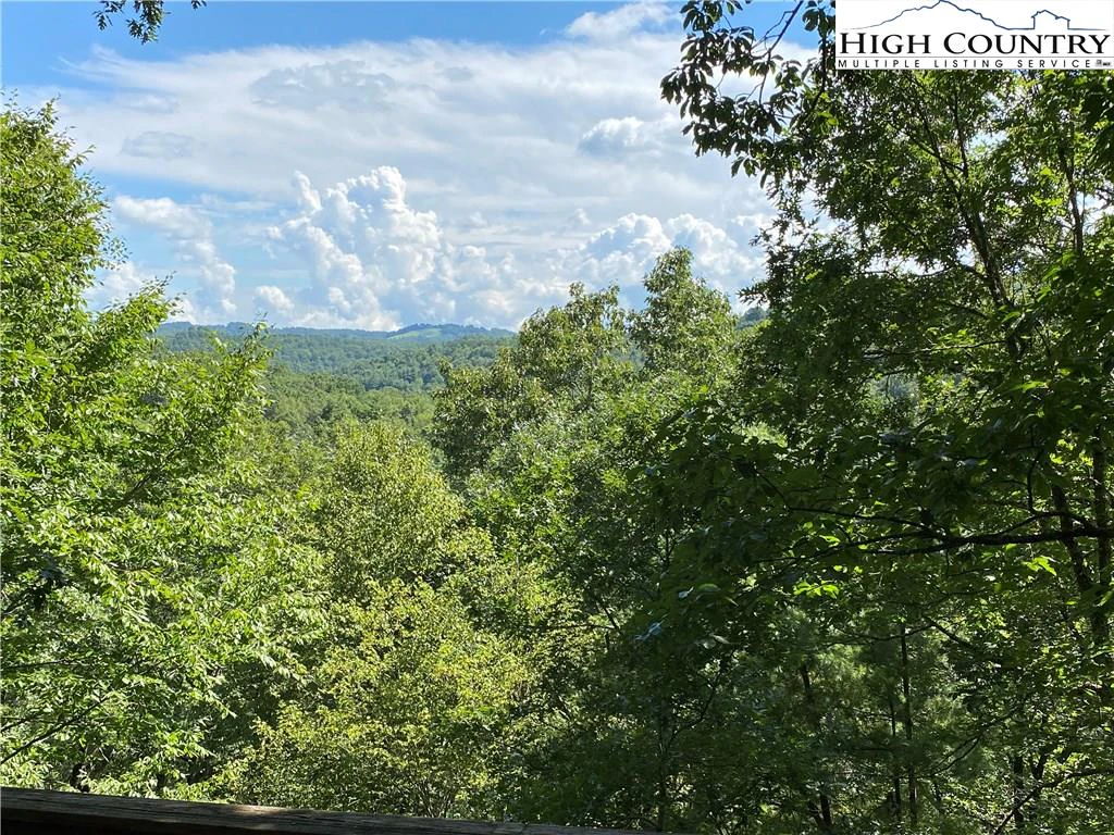 Image number 5 for the current listing