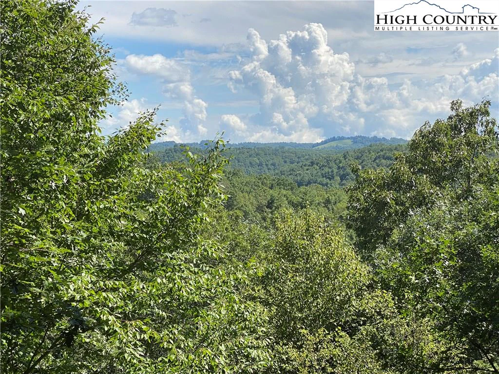 Image number 3 for the current listing
