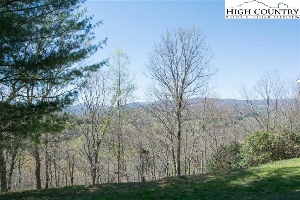 Image number 6 for the current listing