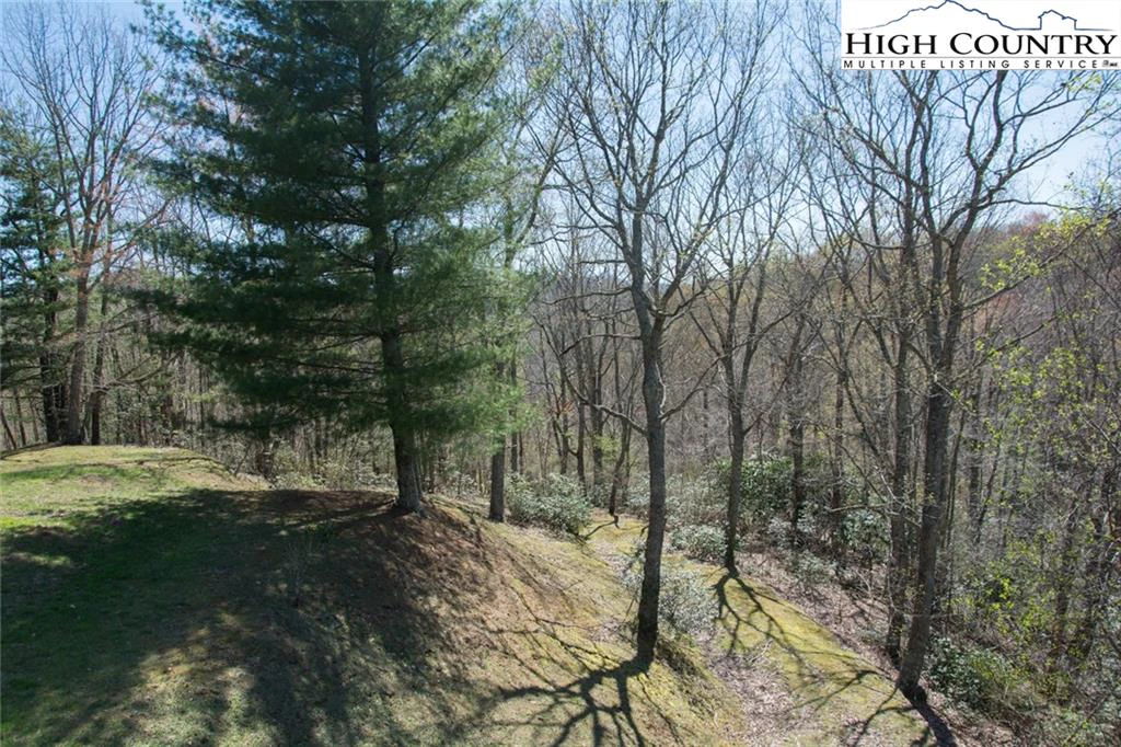 Image number 3 for the current listing