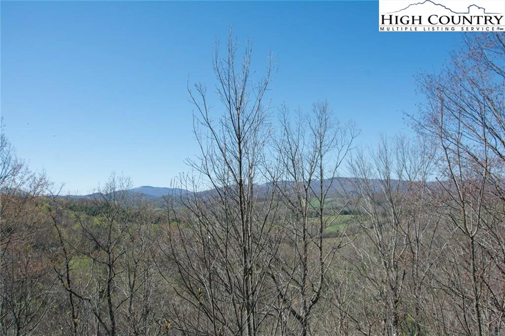 Image number 22 for the current listing