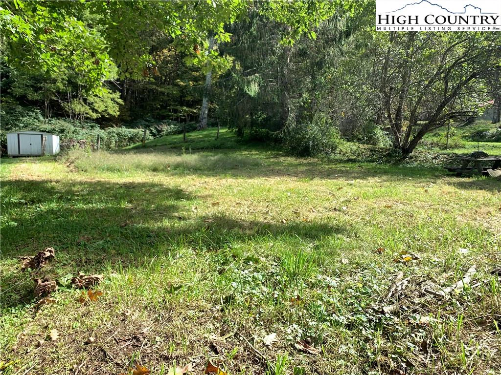Image number 12 for the current listing