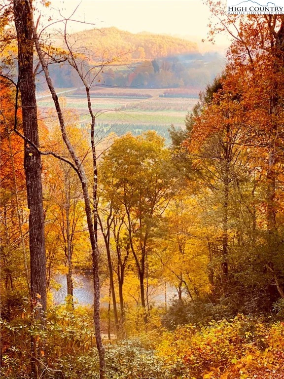Image number 9 for the current listing