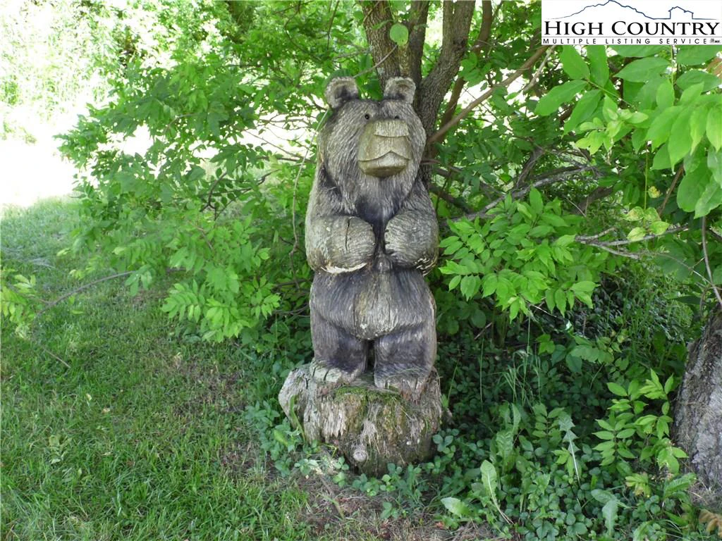 Image number 4 for the current listing
