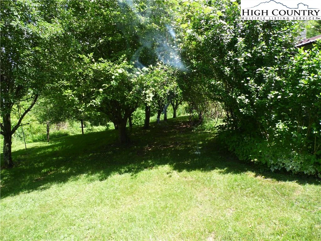 Image number 7 for the current listing