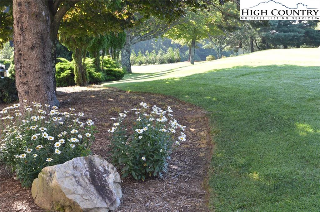 Image number 19 for the current listing