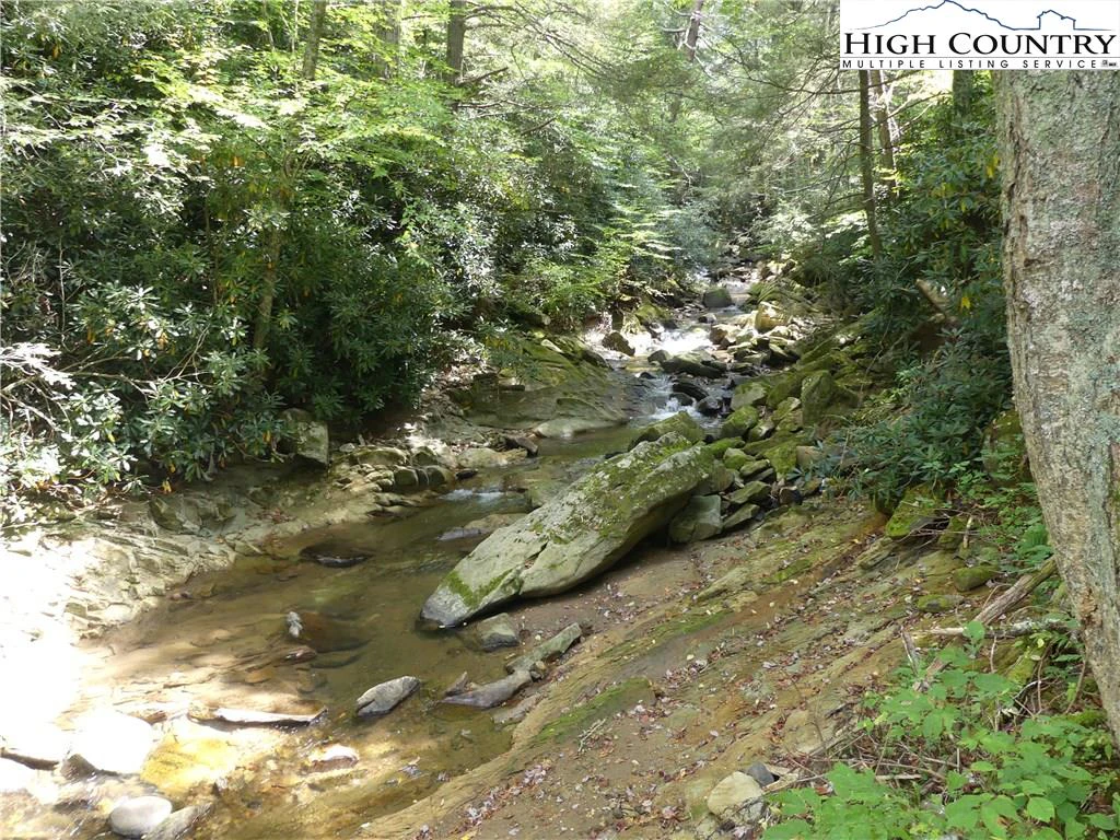 Image number 14 for the current listing