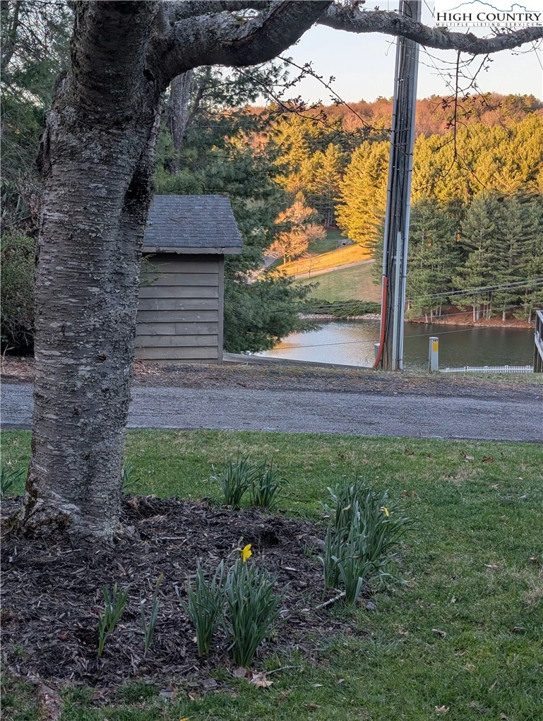 Image number 20 for the current listing