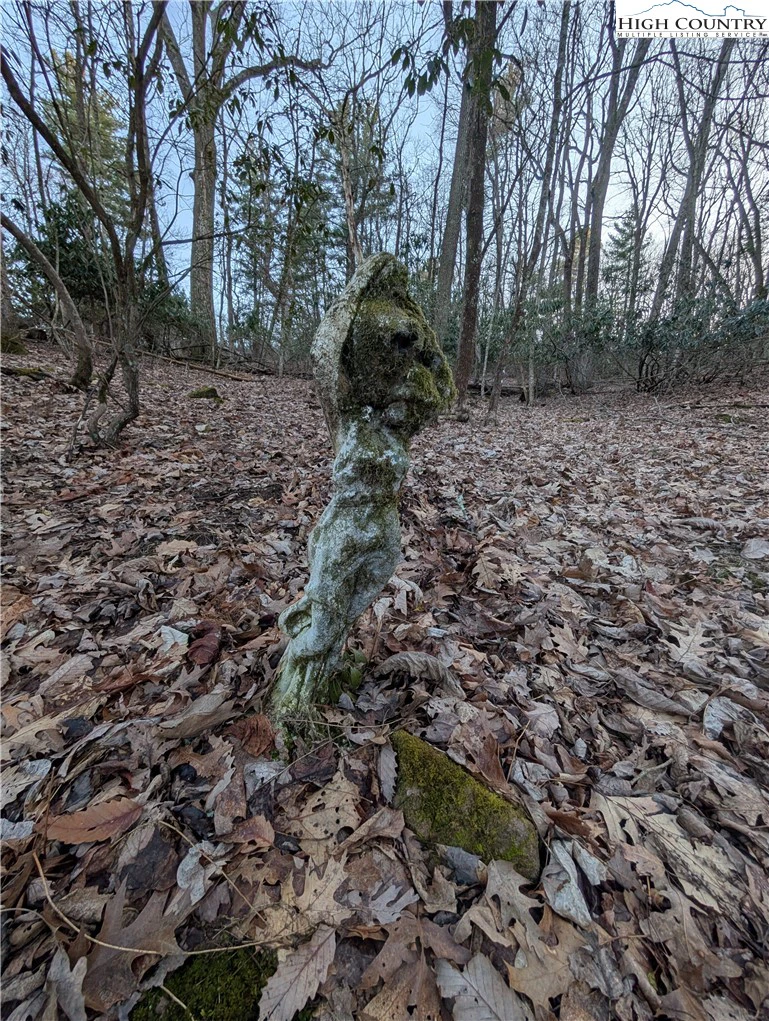 Image number 16 for the current listing