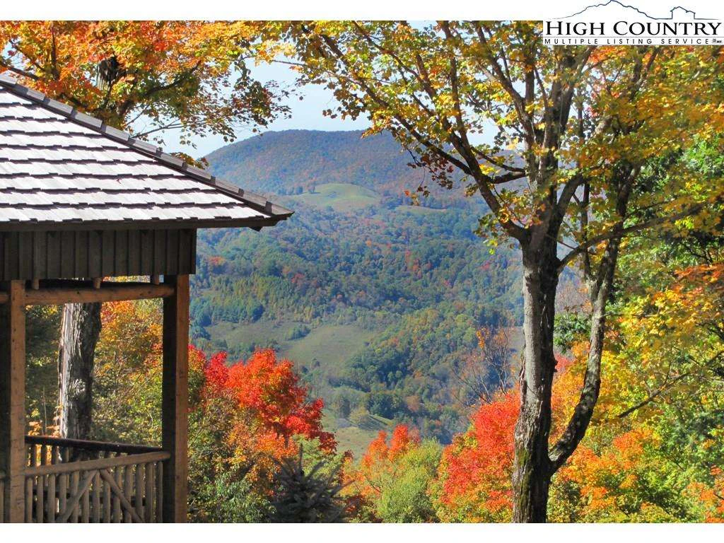 Image number 4 for the current listing