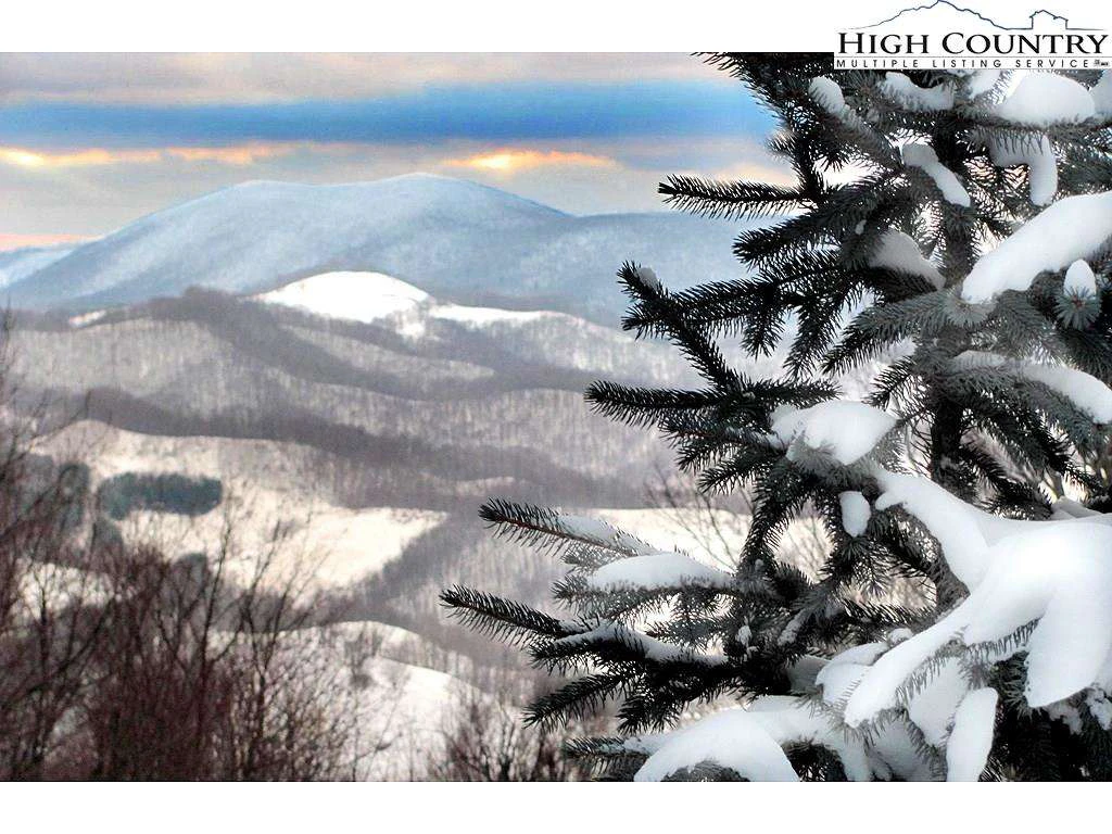 Image number 3 for the current listing