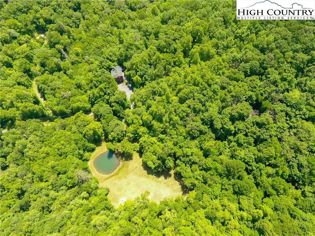 Image number 1 for the current listing