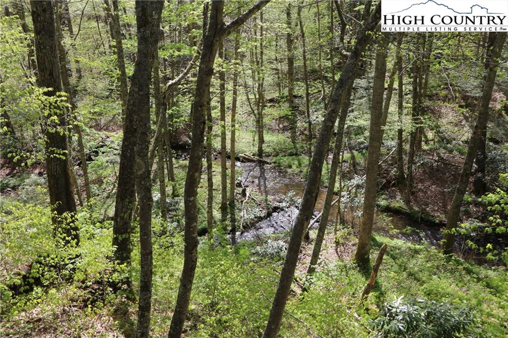 Image number 12 for the current listing