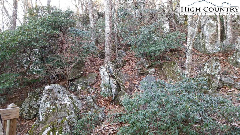 Image number 20 for the current listing