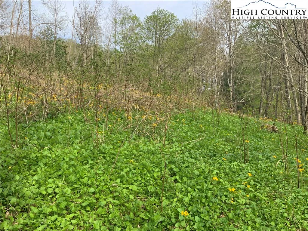 Image number 13 for the current listing