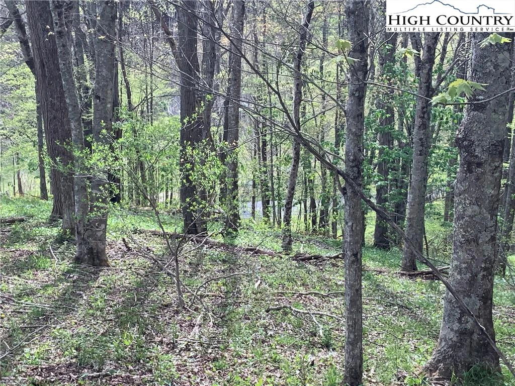 Image number 16 for the current listing
