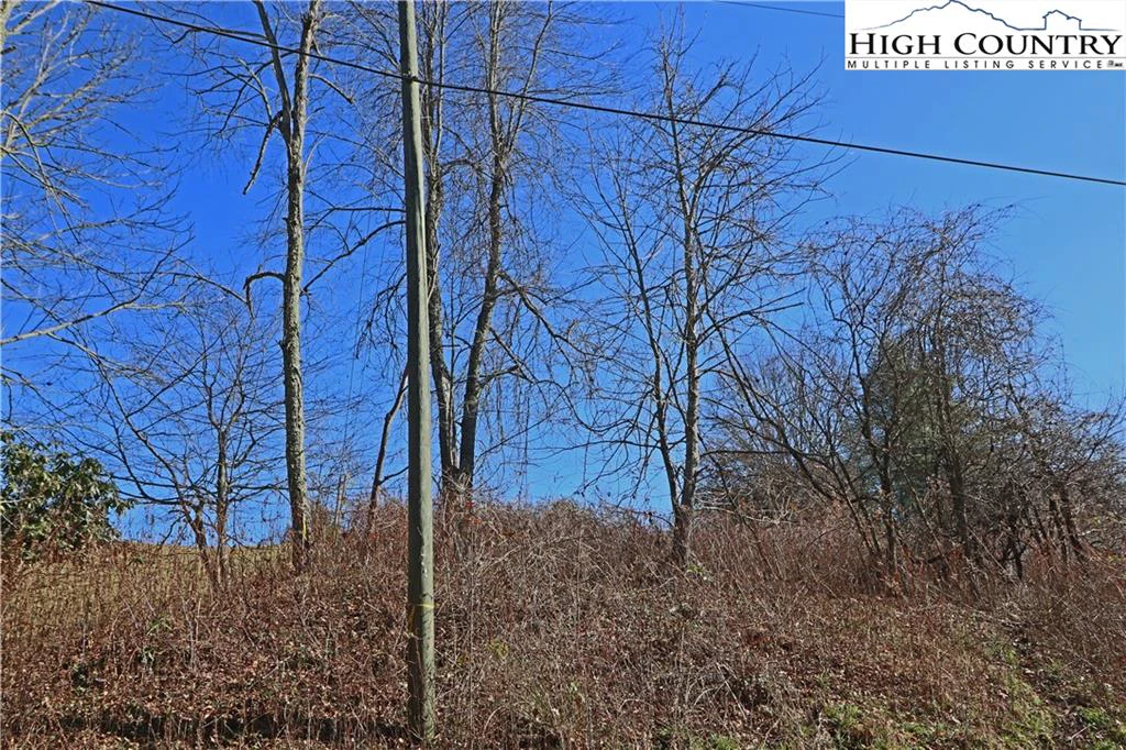 Image number 3 for the current listing