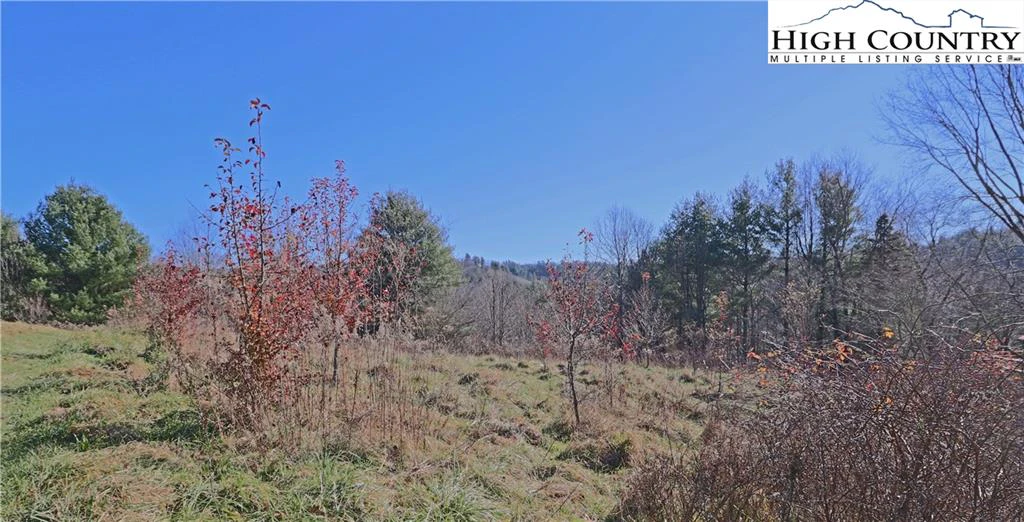 Image number 4 for the current listing