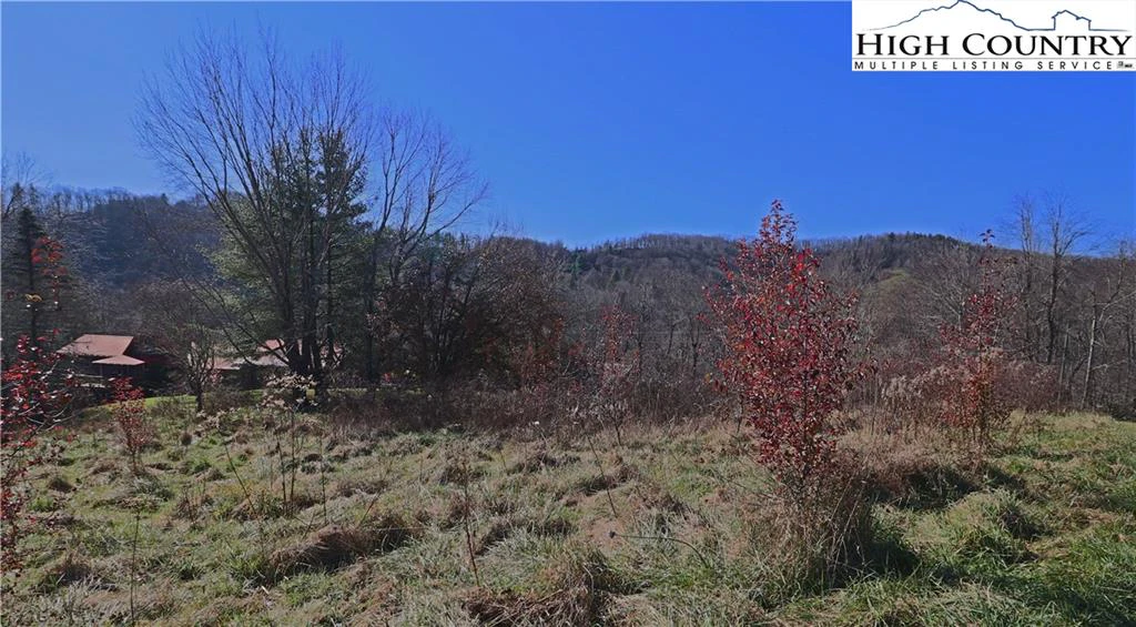 Image number 5 for the current listing