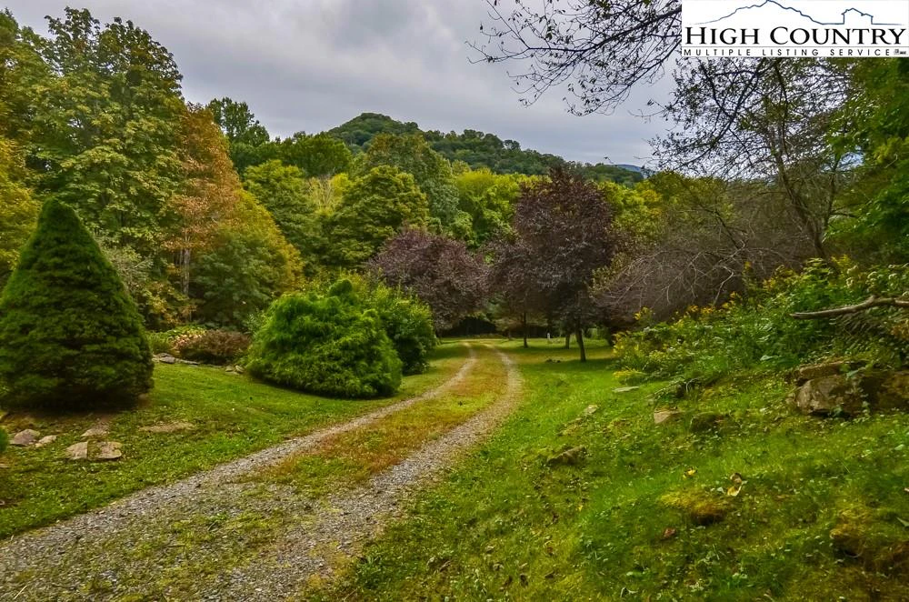 Image number 5 for the current listing