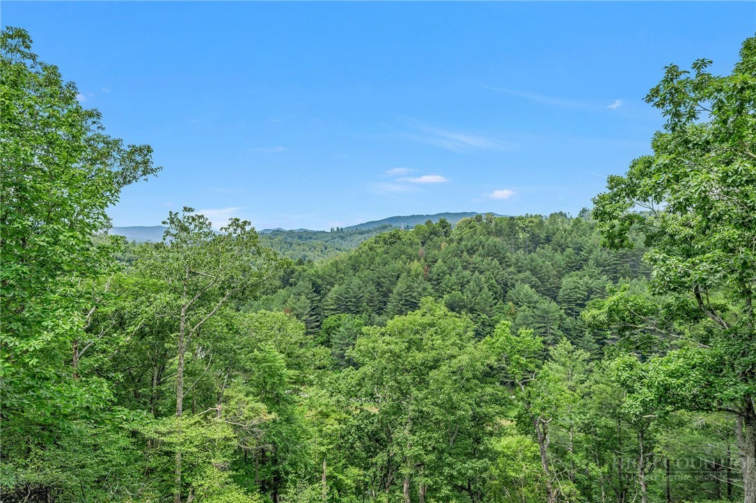 Image number 2 for the current listing