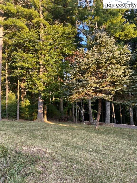 Image number 3 for the current listing